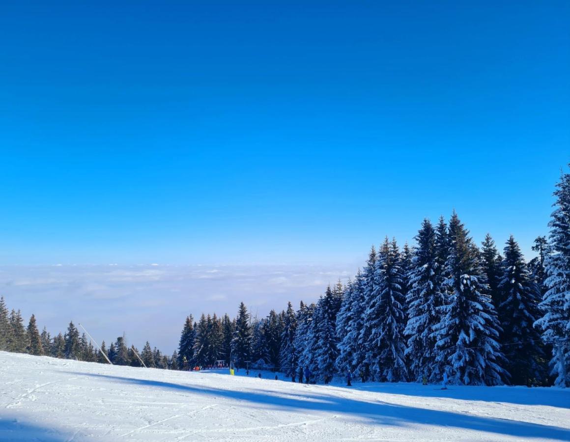 Flora Ski-Slope Studio Apartment Borovets Exterior photo